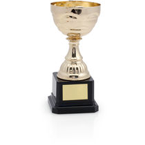 Trofeos color oro y plata personalizado dorado Trofeos color oro y plata personalizado dorado