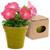 Maceta con semillas de petunia personalizada Maceta con semillas de petunia personalizada